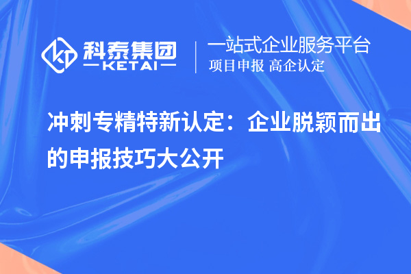 沖刺專(zhuān)精特新企業(yè)：企業(yè)脫穎而出的申報(bào)技巧大公開(kāi)