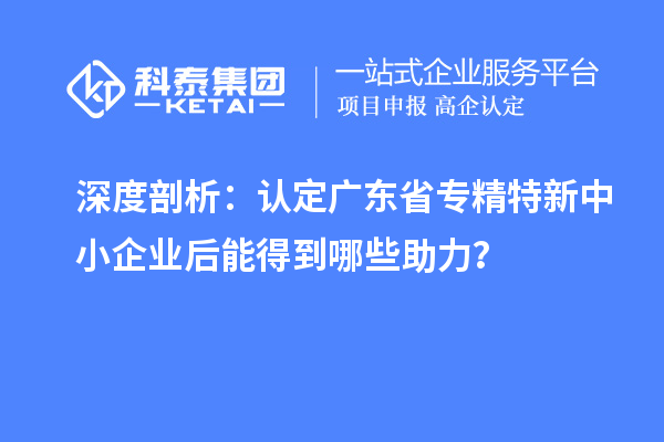 深度剖析：認(rèn)定廣東省專(zhuān)精特新中小企業(yè)后能得到哪些助力？
