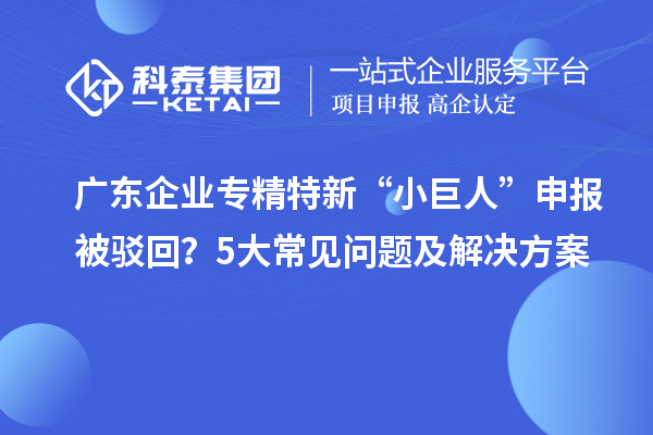 廣東企業(yè)專(zhuān)精特新“小巨人”申報(bào)被駁回？5大常見(jiàn)問(wèn)題及解決方案