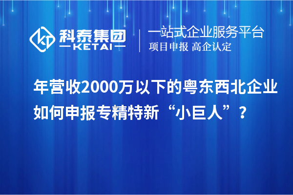 年?duì)I收2000萬(wàn)以下的粵東西北企業(yè)如何申報(bào)專(zhuān)精特新“小巨人”？