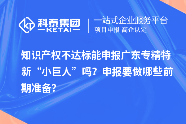 知識(shí)產(chǎn)權(quán)不達(dá)標(biāo)能申報(bào)廣東專(zhuān)精特新“小巨人”嗎？申報(bào)要做哪些前期準(zhǔn)備？