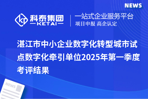 湛江市中小企業(yè)數(shù)字化轉(zhuǎn)型城市試點(diǎn)數(shù)字化牽引單位2025年第一季度考評(píng)結(jié)果