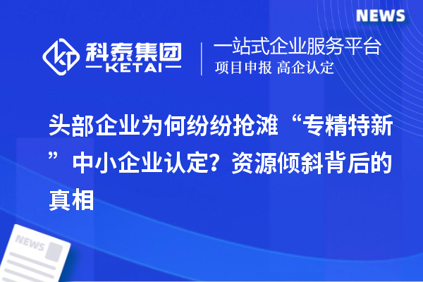 頭部企業(yè)為何紛紛搶灘“專(zhuān)精特新”中小企業(yè)認(rèn)定？資源傾斜背后的真相