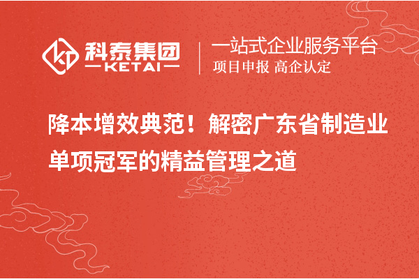 降本增效典范！解密廣東省制造業(yè)單項冠軍的精益管理之道
