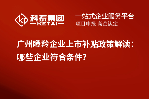廣州瞪羚企業(yè)上市補貼政策解讀：哪些企業(yè)符合條件？