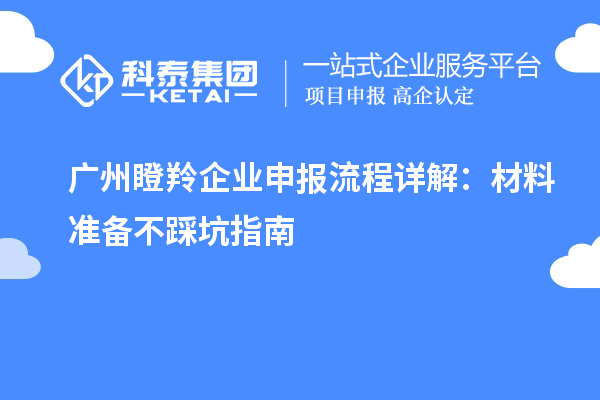 廣州瞪羚企業(yè)申報流程詳解：材料準備不踩坑指南