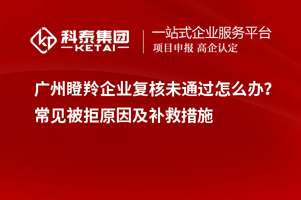 廣州瞪羚企業(yè)復核未通過怎么辦？常見被拒原因及補救措施