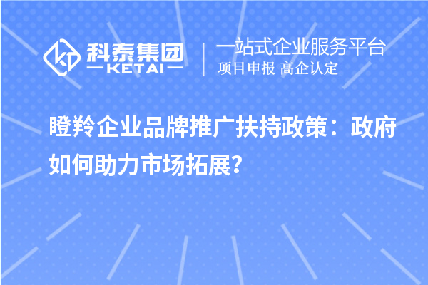 瞪羚企業(yè)品牌推廣扶持政策：政府如何助力市場拓展？