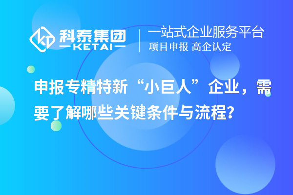 申報專精特新“小巨人”企業(yè)，需要了解哪些關(guān)鍵條件與流程？