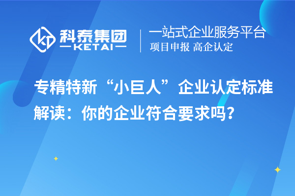 專精特新“小巨人”企業(yè)認(rèn)定標(biāo)準(zhǔn)解讀：你的企業(yè)符合要求嗎？