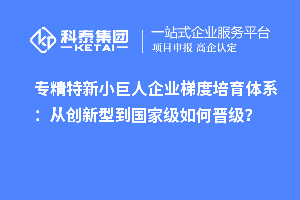 專精特新小巨人企業(yè)梯度培育體系：從創(chuàng)新型到國家級如何晉級？
