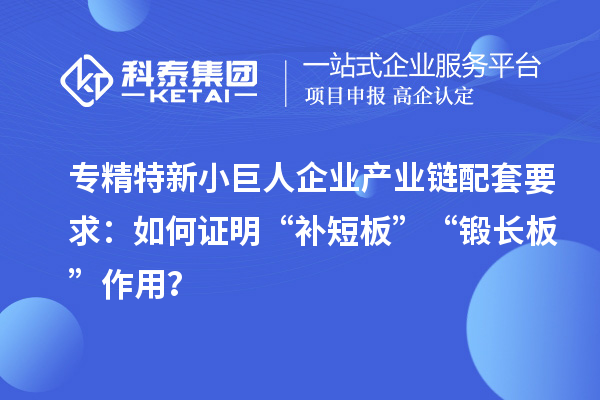 專精特新小巨人企業(yè)產(chǎn)業(yè)鏈配套要求：如何證明“補(bǔ)短板”“鍛長板”作用？