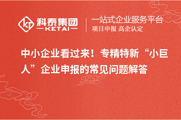 中小企業(yè)看過來！專精特新 “小巨人” 企業(yè)申報的常見問題解答