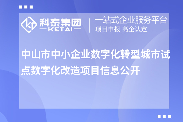 中山市中小企業(yè)數(shù)字化轉型城市試點數(shù)字化改造項目信息公開