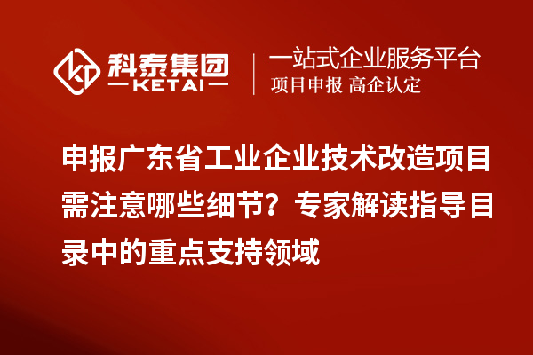 申報廣東省工業(yè)企業(yè)技術(shù)改造項目需注意哪些細節(jié)？專家解讀指導(dǎo)目錄中的重點支持領(lǐng)域