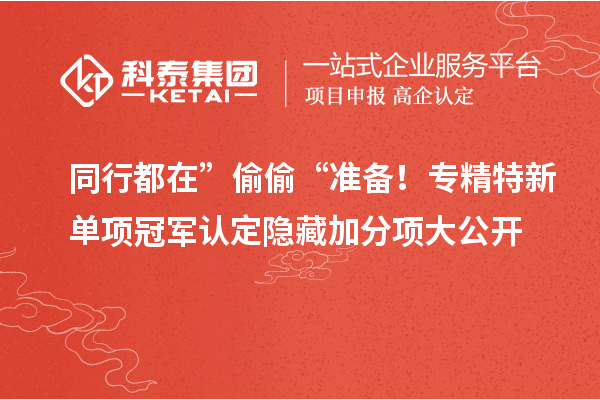 同行都在” 偷偷 “準(zhǔn)備！專精特新單項(xiàng)冠軍認(rèn)定隱藏加分項(xiàng)大公開