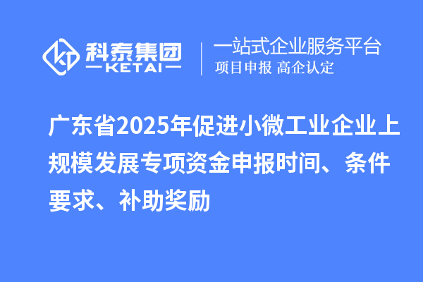 廣東省2025年促進(jìn)小微工業(yè)企業(yè)上規(guī)模發(fā)展專項(xiàng)資金申報(bào)時(shí)間、條件要求、補(bǔ)助獎(jiǎng)勵(lì)