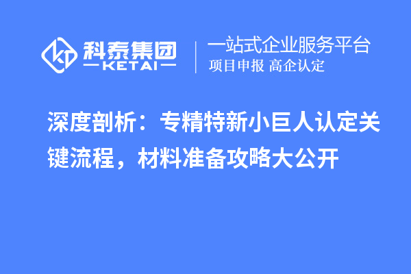 深度剖析：專精特新小巨人認定關鍵流程，材料準備攻略大公開