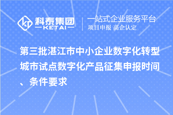 第三批湛江市中小企業(yè)數(shù)字化轉(zhuǎn)型城市試點數(shù)字化產(chǎn)品征集申報時間、條件要求