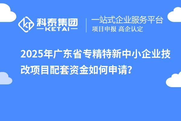 2025年廣東省專精特新中小企業(yè)技改項目配套資金如何申請？