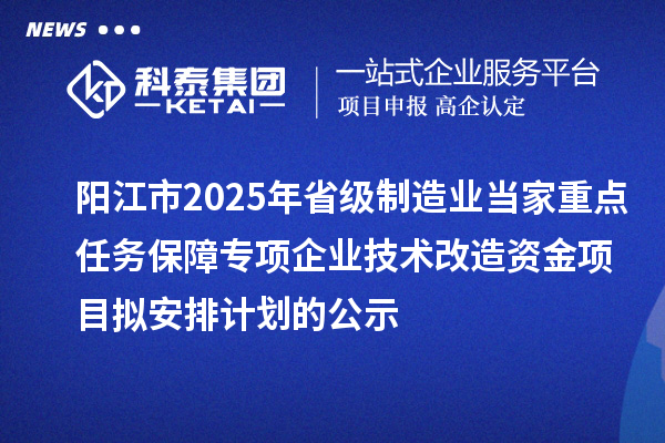 陽(yáng)江市2025年省級(jí)制造業(yè)當(dāng)家重點(diǎn)任務(wù)保障專項(xiàng)企業(yè)技術(shù)改造資金項(xiàng)目擬安排計(jì)劃的公示