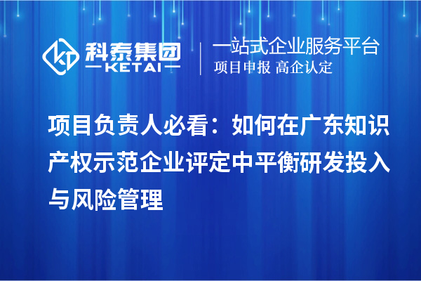 項(xiàng)目負(fù)責(zé)人必看：如何在廣東知識(shí)產(chǎn)權(quán)示范企業(yè)評(píng)定中平衡研發(fā)投入與風(fēng)險(xiǎn)管理