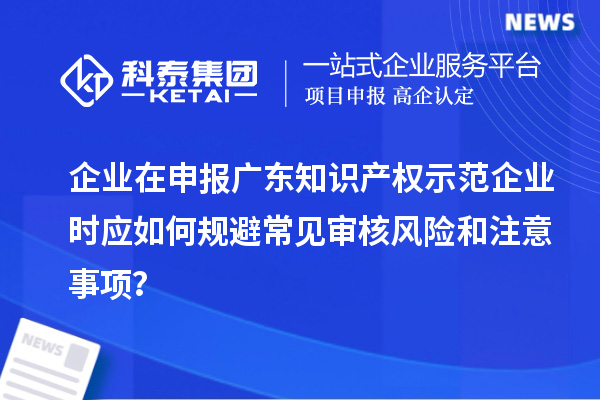 企業(yè)在申報(bào)廣東知識(shí)產(chǎn)權(quán)示范企業(yè)時(shí)應(yīng)如何規(guī)避常見(jiàn)審核風(fēng)險(xiǎn)和注意事項(xiàng)？