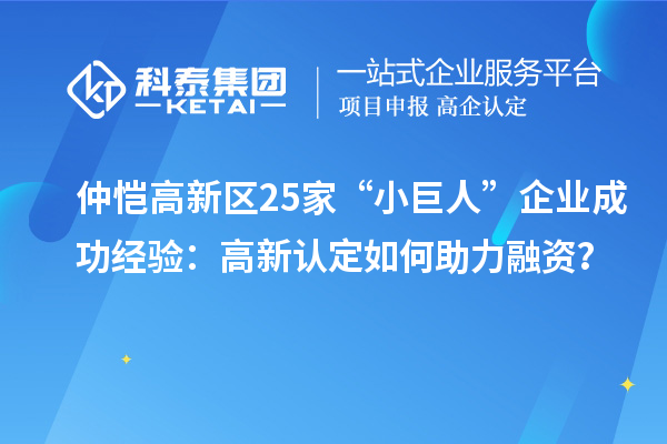 仲愷高新區(qū)25家“小巨人”企業(yè)成功經(jīng)驗：高新認(rèn)定如何助力融資？