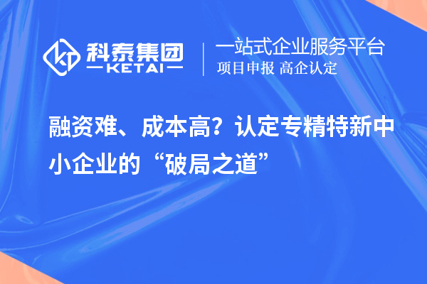 融資難、成本高？認定專精特新中小企業(yè)的“破局之道”