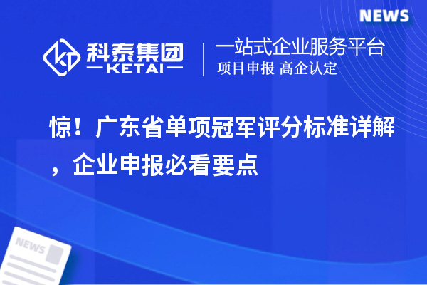 驚！廣東省單項冠軍評分標準詳解，企業(yè)申報必看要點