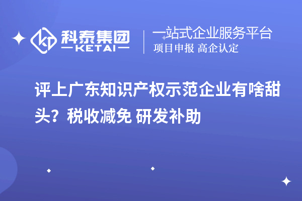 評上廣東知識產權示范企業(yè)有啥甜頭？稅收減免+研發(fā)補助
