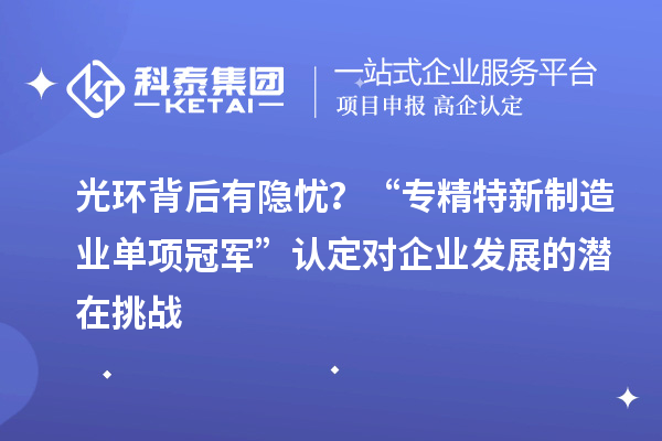 光環(huán)背后有隱憂？“專精特新制造業(yè)單項冠軍”認定對企業(yè)發(fā)展的潛在挑戰(zhàn)