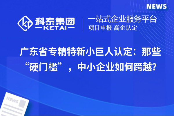 廣東省專精特新小巨人認(rèn)定：那些“硬門檻”，中小企業(yè)如何跨越？