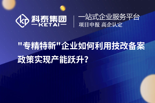 "專(zhuān)精特新"企業(yè)如何利用技改備案政策實(shí)現(xiàn)產(chǎn)能躍升？