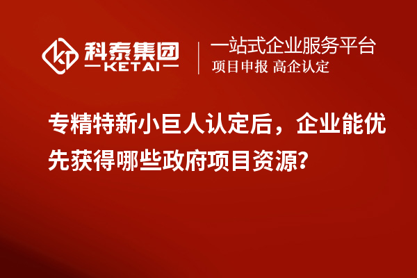 專精特新小巨人認(rèn)定后，企業(yè)能優(yōu)先獲得哪些政府項(xiàng)目資源？